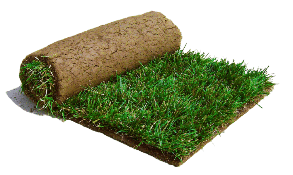 Rulo Çim Tohum Çim Uygulaması